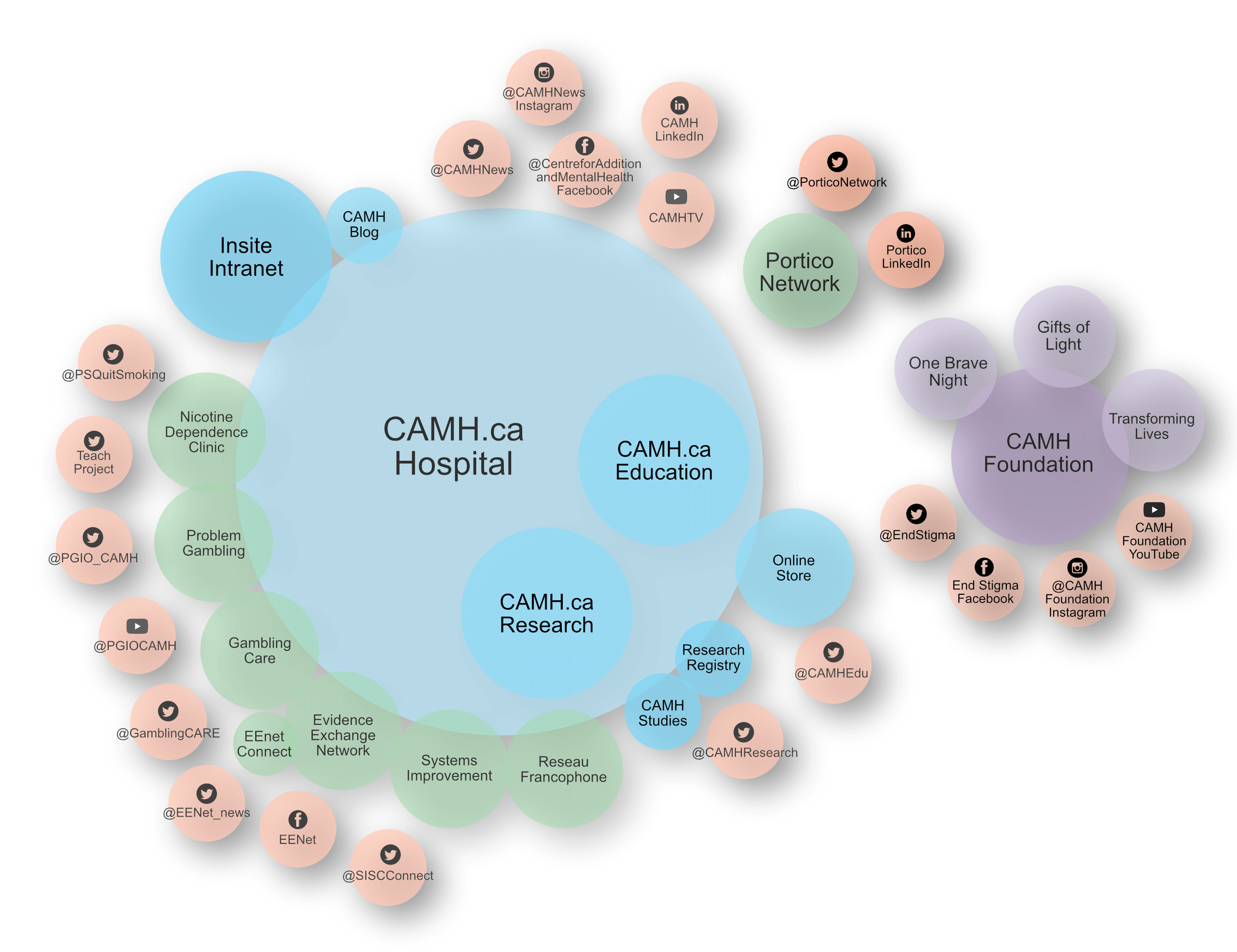 CAMH-ecosystem-graph-shadow